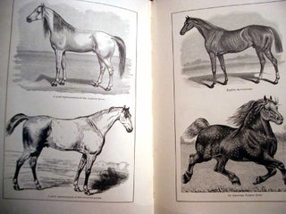 Facts for Horse Owners: A Pictorial Encyclopedia of Practical Instruction, Embracing the Education, Management, and Care of Horses, etc. etc.