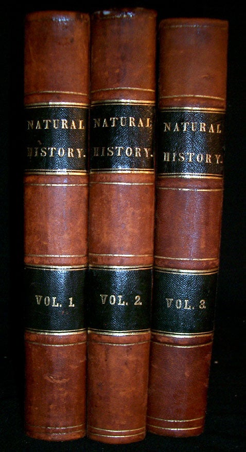 Item #8519 Illustrated Natural History of the Three Kingdoms, Containing Scientific and Popular Descriptions of man, Quadrupeds, Birds, Fishes, Reptiles, Insects, etc. A. B. Strong.