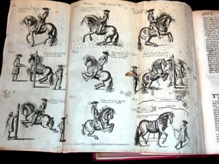 The Compleat Horseman: or, The Perfect Farrier: In Two Parts...