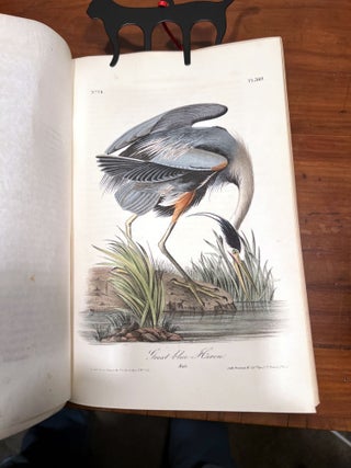 The Birds of America - From Drawings Made in the United States and their Territories.
