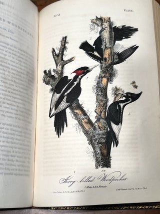 Item #8923 The Birds of America - From Drawings Made in the United States and their Territories....