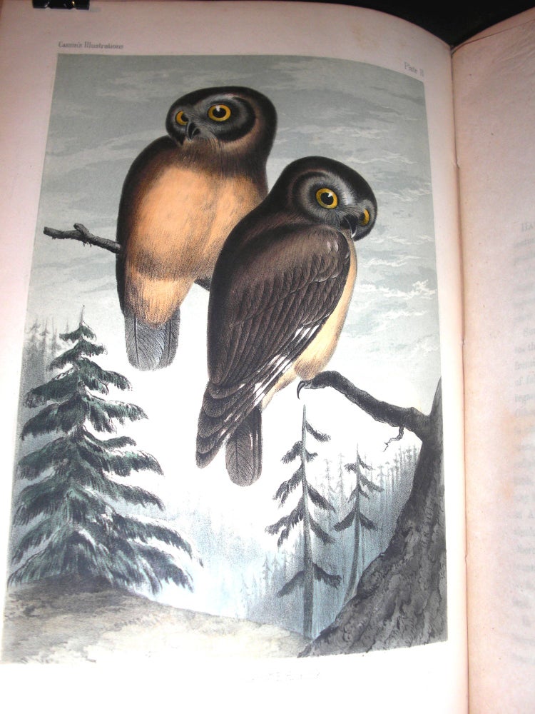 Item #8925 Illustrations of the Birds of California, Texas, Oregon, British and Russian America. Intended to Contain Descriptions and Figures of all North American Birds Not Given by Former American Authors, and a General Synopsis of North American Ornithology. John Cassin.