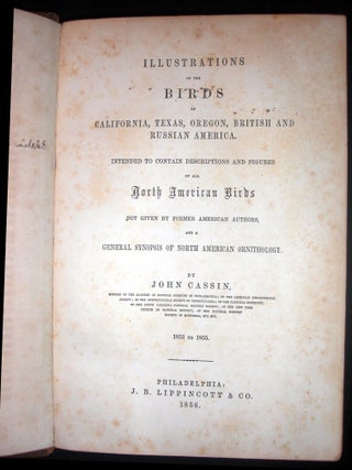 Illustrations of the Birds of California, Texas, Oregon, British and Russian America. Intended to Contain Descriptions and Figures of all North American Birds Not Given by Former American Authors, and a General Synopsis of North American Ornithology.