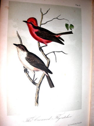 Illustrations of the Birds of California, Texas, Oregon, British and Russian America. Intended to Contain Descriptions and Figures of all North American Birds Not Given by Former American Authors, and a General Synopsis of North American Ornithology.
