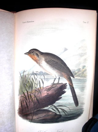 Illustrations of the Birds of California, Texas, Oregon, British and Russian America. Intended to Contain Descriptions and Figures of all North American Birds Not Given by Former American Authors, and a General Synopsis of North American Ornithology.